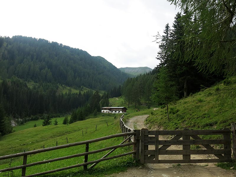 Schafseitenspitze